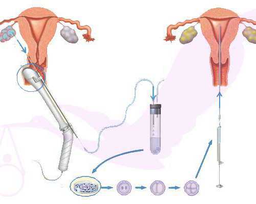 2026山东能做借卵试管代怀生子的医院排名？附详细介绍？
