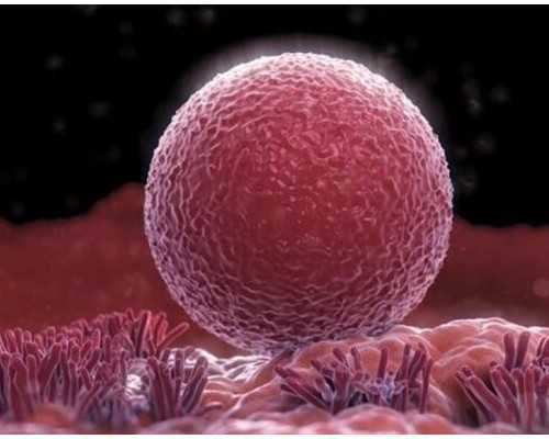 2026宁夏试管代怀生子机构名单揭晓-附试管前十医院推荐
						