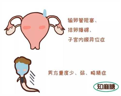 代怀孕代孕试管助孕_孕产-上海私立供卵医院