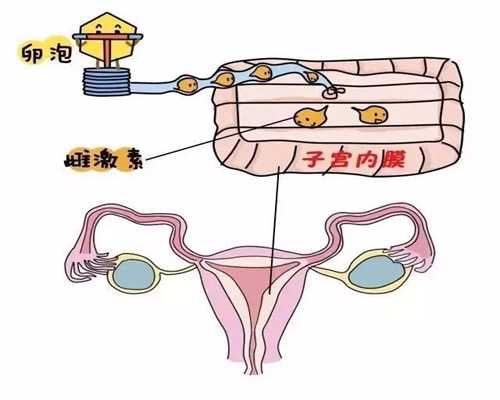 同居代孕_做三代泰国试管婴儿有什么缺陷吗