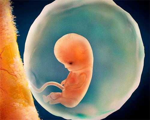 供卵代孕流程_孕早期孕妇操（一）