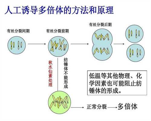 代生孩子qq群2020_上海添禧助孕联系方式