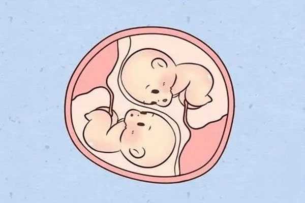 金贝供卵_助孕供卵试管_试管婴儿双胞胎费用和单胎费用是一样的大概在40000-